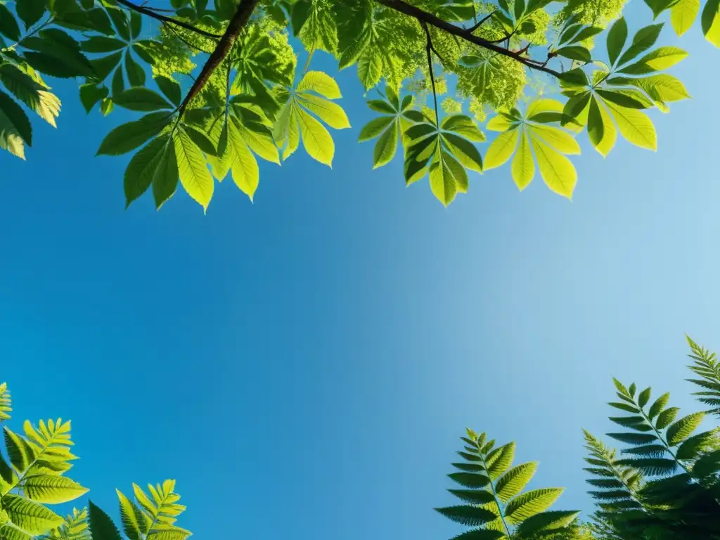 Una ilustración minimalista de un exuberante bosque verde con un cielo azul claro arriba